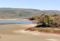 България е на първо място в Европа със 60 загуби