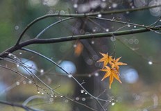 Дневните температури ще се понижат до 20 градусаПоследният ден на