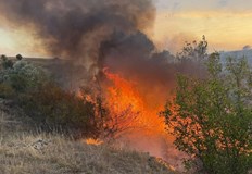 Пожар унищожи над 2300 декараОбщина Тополовград продължава да поддържа частично