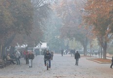 Най високи стойности са отчетени в началото на месец август при