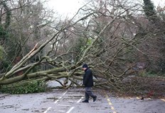 Ново проучване разкрива различна климатична динамика в региона Южната част