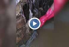 Мокри кърпички парцали и строителни отпадъци са най честите причини за