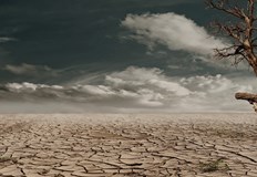 Резултатите от ново изследване са стряскащи в своята точностМиналото лято