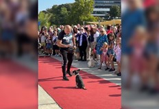 Празникът беше съпътстван от много изненади за малки и големиНад