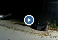 Охранителни камери са запечатали вандалския акт в центъра на ПловдивДве