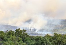 Огънят обхвана 1000 декара гори и пасища хеликоптер ще се