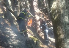 Мобилизирани са пожарникари паркова охрана и служители за овладяване на