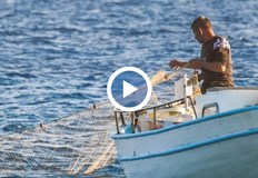 Високата температура на водата и силният вятър ограничават улова но