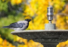 Септемврийска жега обхваща България Утре 9 септември времето в България