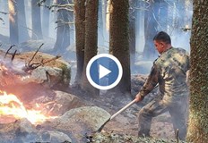 Над 500 декара са вече обхванати от огъня който се