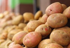 Индексът на тържищните цени нарасна с 0 44 процента до 2 260