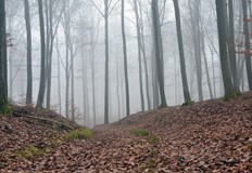 Според ранните прогнози ще има условия за валежи и силни