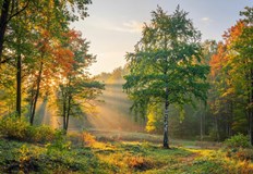 След обяд атмосферното налягане ще се понижи под средното за