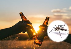 Учените Хол и Бланкен Бирата привлича комарите с 44 Любителите на