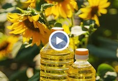 Владимир Иванов Влизането в еврозоната ще стабилизира ценитеПазарът на хранителни