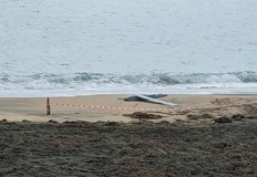 Специалисти работят по установяване на произхода на безпилотния летателен апарат