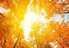 Есента се отлага Температурни аномалии продължават до края на септемвриЛятото