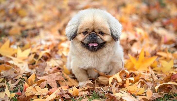 Ранните прогнози допускат валежи около календарния край на месеца