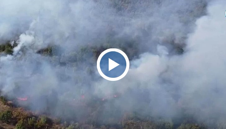 Огнеборци и доброволци продължават да гасят тлеещи огнища край село Лисово