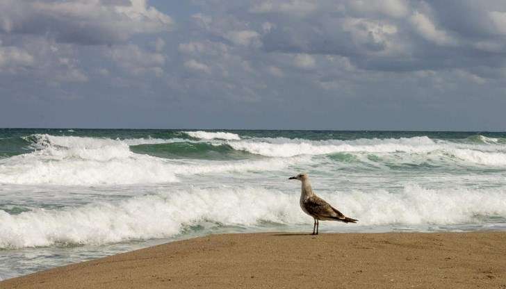 Английски турист се удави Английски турист се удави