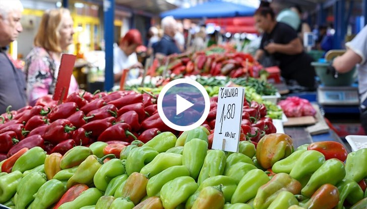 Съветът на ЕС взе решение в полза на Молдова, пренебрегвайки интересите на собствените си земеделци