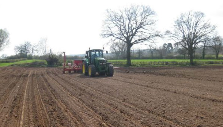 Дъждовете в края на август съживиха почвата за есенниците Дъждовете в края на август съживиха почвата за есенниците