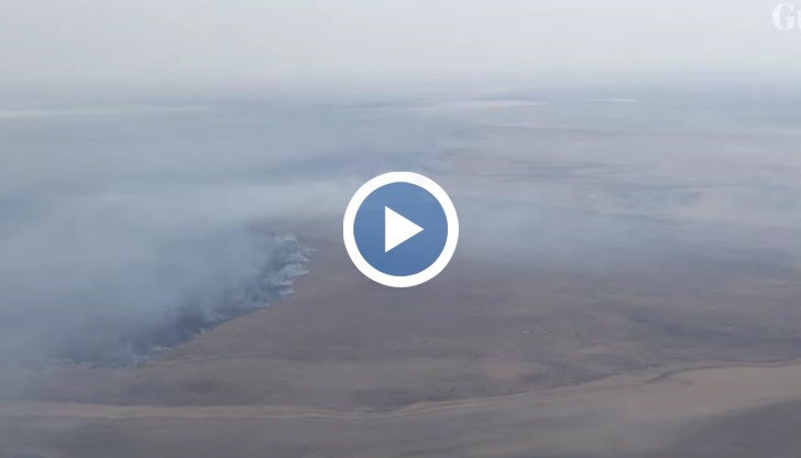 Пламъците застрашават биоразнообразието и прехраната на местните общности