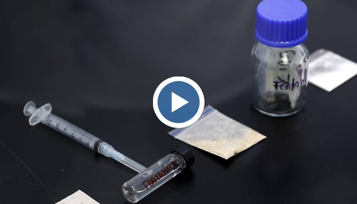 Доц. Людмила Нейкова предупреждава за смъртоносните последици