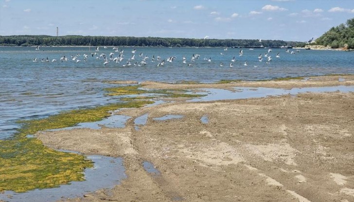 Корабите се движат по обозначени коридори, за да избегнат плитчините