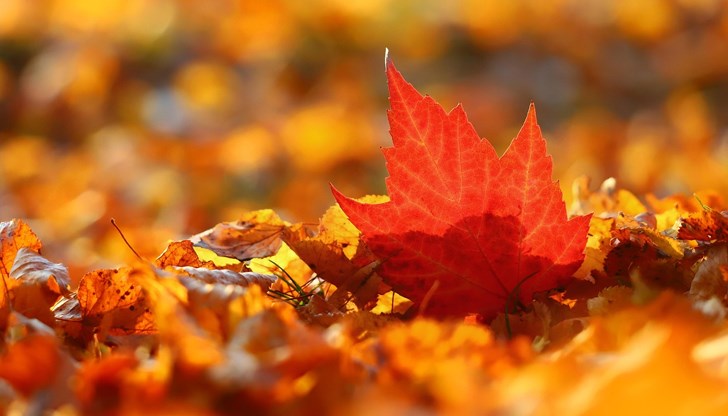 Преминаването към зимно часово време ще бъде на 26 октомври