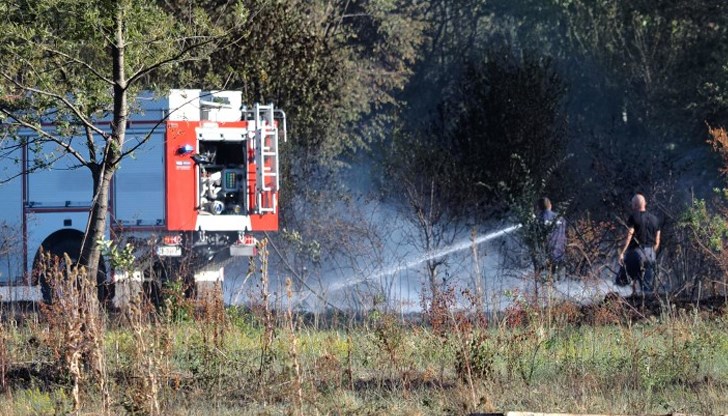 Пламъците от сухи треви обхванаха дървета, храсти и лозя, близо е пречиствателната станция на града Пламъците от сухи треви обхванаха дървета, храсти и лозя, близо е пречиствателната станция на града