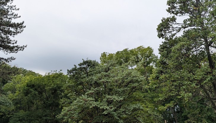 Температурите скачат до 31° в сряда, в края на седмицата идват дъждове в цялата страна