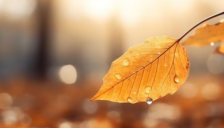 Температурите ще останат под 23 градуса в цялата страна