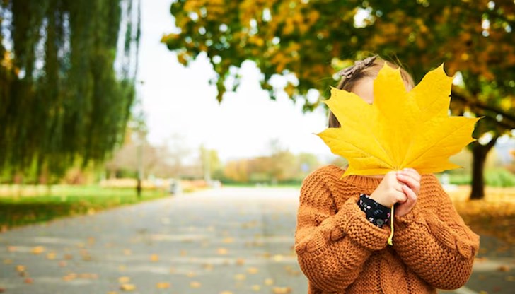 Температурите се повишават до сряда, след което постепенно се понижават Температурите се повишават до сряда, след което постепенно се понижават