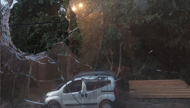 Тонева от години се бори за спиране замърсяването от ТЕЦ Бобов дол