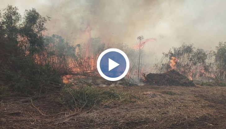 Труднодостъпен терен затруднява гасителните дейности
