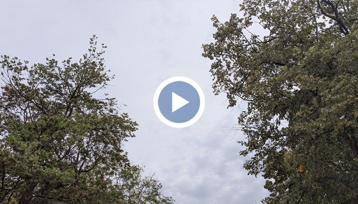 Жълт код за силен вятър е обявен в 12 области, включително Русе