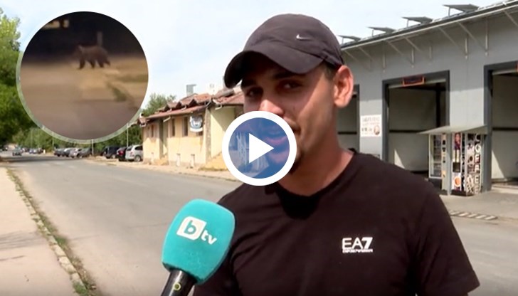 Полицейски патрули насочили животното към гората