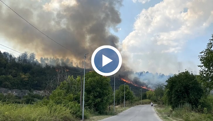Въпреки напрегнатия пожарен сезон опожарените гори намаляват значително през 2025