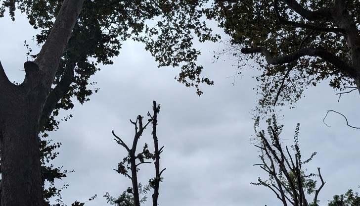 В Русе ще бъде облачно с температури между 12° и 18° градуса
