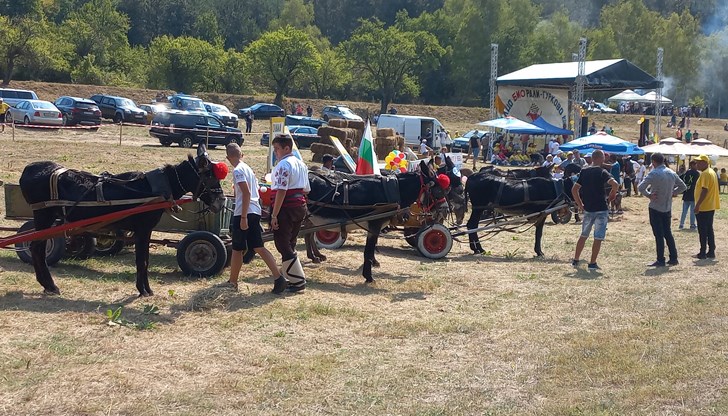 Дългоухата надпревара привлича посетители от цялата страна Дългоухата надпревара привлича посетители от цялата страна