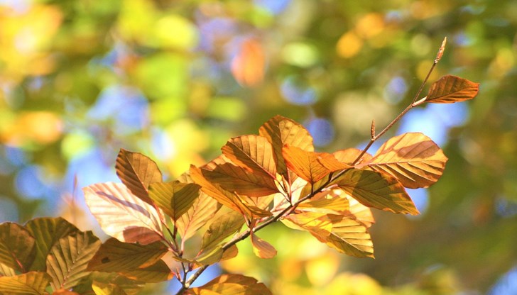 Петър Янков: Ще се радваме на добри температури до края на септември Петър Янков: Ще се радваме на добри температури до края на септември