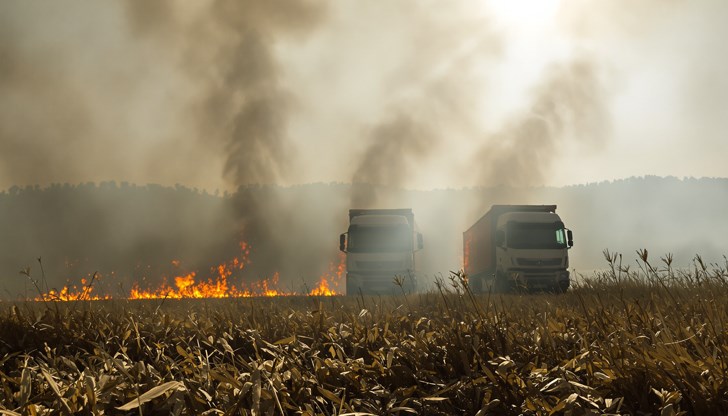 Огънят е обхванал само сухи треви и храсти Огънят е обхванал само сухи треви и храсти