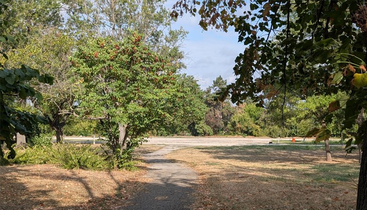 Седмицата започва с приятни температури, но през уикенда настъпва рязко застудяване