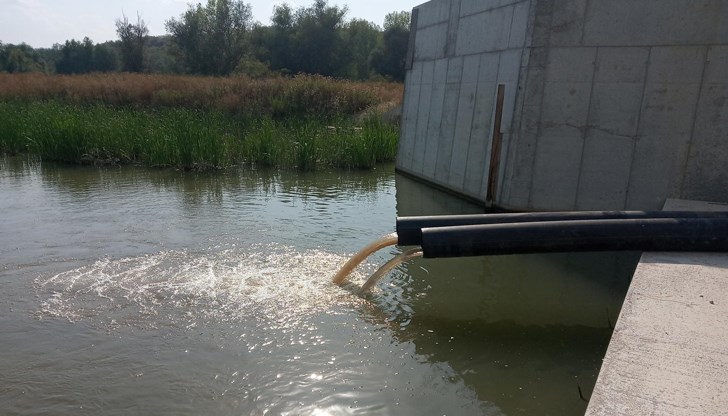 Дунавската вода вече запълни "Бабушкото блато" и малките водни огледала Дунавската вода вече запълни "Бабушкото блато" и малките водни огледала
