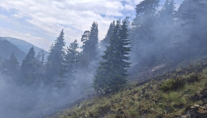 Потушени са източния и южния фронт, военен хеликоптер ще атакува огъня от въздуха