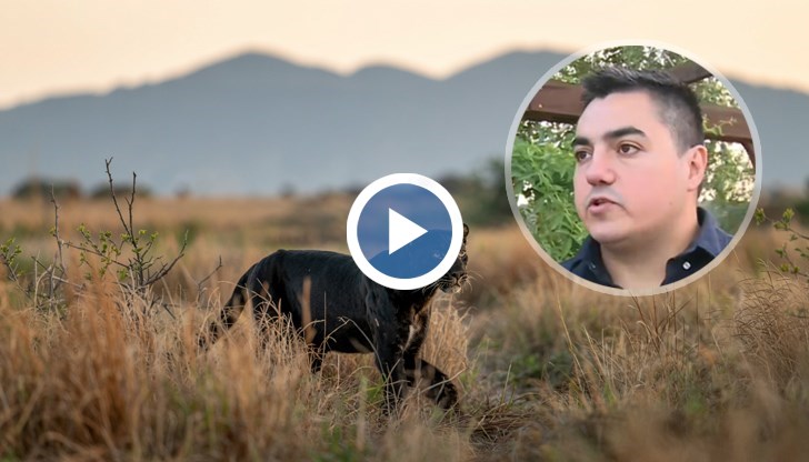 Полицията не открива следи от животното, но продължава наблюдението в района