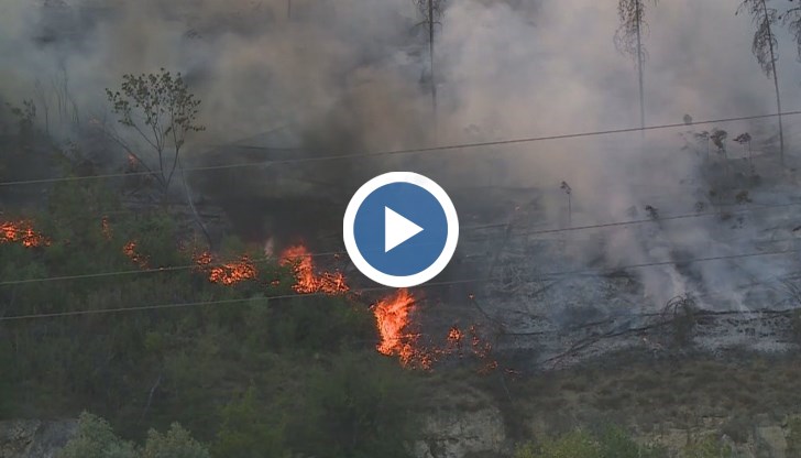 Кметът на Тутракан: Имам съмнения, че причината е искра от селскостопанска техника