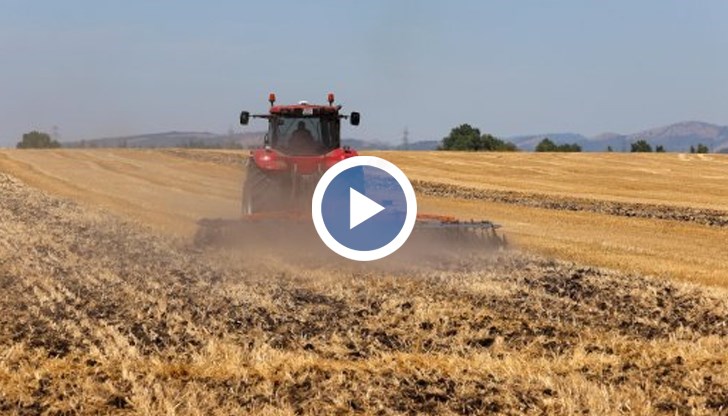 Земеделците отчитат критично ниски добиви от слънчоглед и царевица