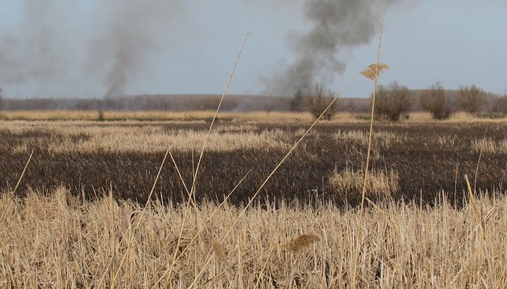 Борбата с огъня е затруднена от гъста мъгла, пламъците застрашават уникално биоразнообразие